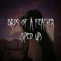 Rosie Xo & Brown Eyed Girl - Birds Of A Feather (Sped Up) загрузить