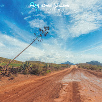 Roy Edwin Williams - Out In The Mud загрузить