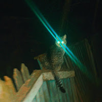 Sae4 - Парова Машина (Ukrainian Phonk) (Feat. Markiza) загрузить