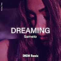 Samelo - Dreaming (Dndm Remix) загрузить