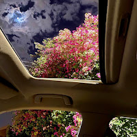 Sampagne - In Meinem Raum загрузить