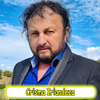 Sandu Ciorba - Crisma Irlandeza загрузить