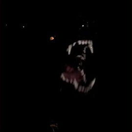 Sapfir Never Sleep - Agresivo загрузить