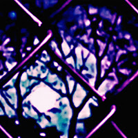 Saraunh0Ly - Wutiwant (Sped Up) загрузить