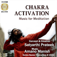 Satyarthi Prateek - Stage 1: Chakra Activation Ft Amano Manish загрузить