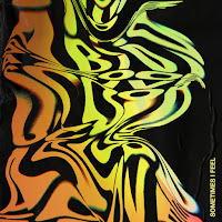 Scoobadive - Sometimes I Feel загрузить