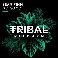 Sean Finn - No Good загрузить
