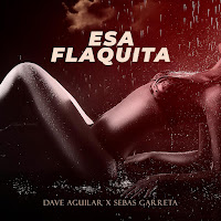 Sebas Garreta - Esa Flaquita Ft Dj Dave Aguilar mp3 скачать