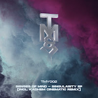 Senses Of Mind - Singularity загрузить