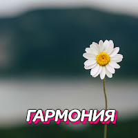 Сергей Грищук - Гармония загрузить