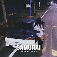 Serhat Pars - Samurai загрузить