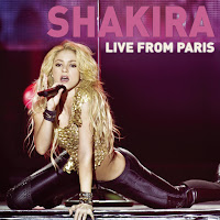 Shakira - Underneath Your Clothes (Live Version) загрузить