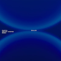 Shallou - Pacifica (Sultan + Shepard Remix) Ft Sultan + Shepard загрузить