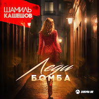 Шамиль Кашешов - Леди Бомба загрузить