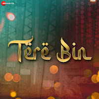 Shani Arshad - Tere Bin загрузить