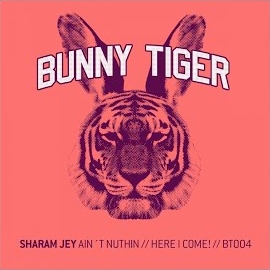 Sharam Jey - Here I Come загрузить