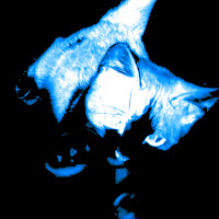 Sho - Blanc (Slowed) загрузить