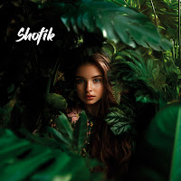 Shofik - Harmonious Horizons загрузить