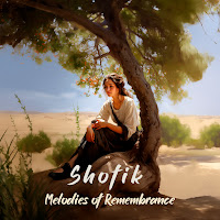 Shofik - Feel The Beat загрузить