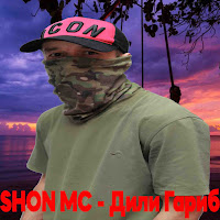 Shon Mc - Дили Гариб загрузить