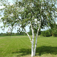 Шунт Валерий - Дальнобойщик загрузить