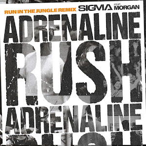 Sigma - Adrenaline Rush (Run In The Jungle Remix) (Feat. Morgan) загрузить
