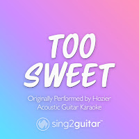 Sing2Guitar - Too Sweet (Originally Performed By Hozier) (Acoustic Guitar Karaoke) загрузить