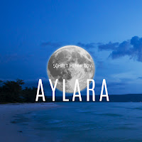 Şöhret Memmedov - Aylara загрузить