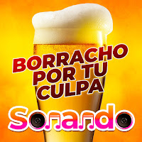 Sonando - Borracho Por Tu Culpa загрузить