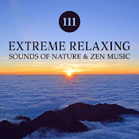 Soothing Music Academy - Deeper Understanding загрузить