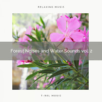 Sounds Of Nature Noise - Rain Forest With Virgin Bird Sounds And Nature Sounds Pt. 2 загрузить