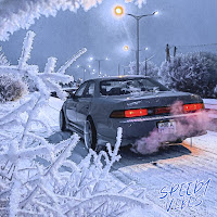 Speedy Vibes - Sea Of Problems (Phonk) (Remix) загрузить