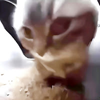 Spelox - Chipi Chipi Chapa Chapa загрузить