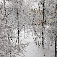 Splitika - Пиджак загрузить