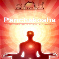 Sri Sri Ravishankar - Panchakosha - Hindi загрузить