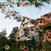 Ssshhhiiittt! - Цветы загрузить