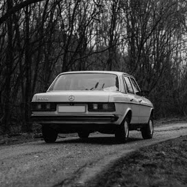 Stamina Beats - Kavkaz загрузить