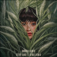 Steve Aoki - Dudadu (Remix) Ft Irina Rimes загрузить