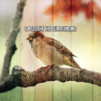 Study Concentration - Captivated загрузить