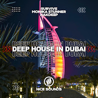 Survive - Deep House In Dubai Ft Monika Stunner & Hakdeep загрузить