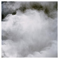 Swarm Intelligence - I Am Everything You Are Running From загрузить