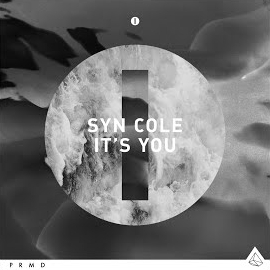 Syn Cole - Its You (Radio Edit загрузить