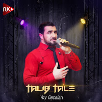 Talıb Tale - Yay Gecələri загрузить