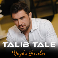 Talıb Tale - Yayda Gecələr загрузить