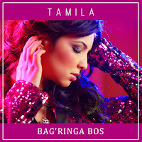 Обложка песни 