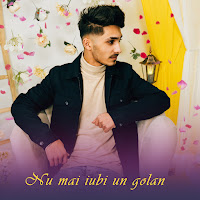 Tanu Music - Nu Mai Iubi Un Golan Ft Bubu Pustanu загрузить