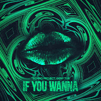 Techno Project - If You Wanna Ft Geny Tur загрузить