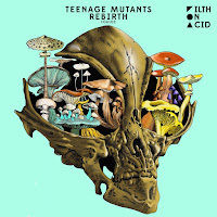 Teenage Mutants - Rebirth загрузить