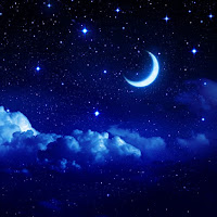 The French Whisperer - Dreams And Neurosciences загрузить