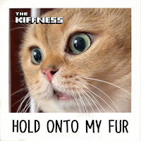 The Kiffness - Hold Onto My Fur загрузить